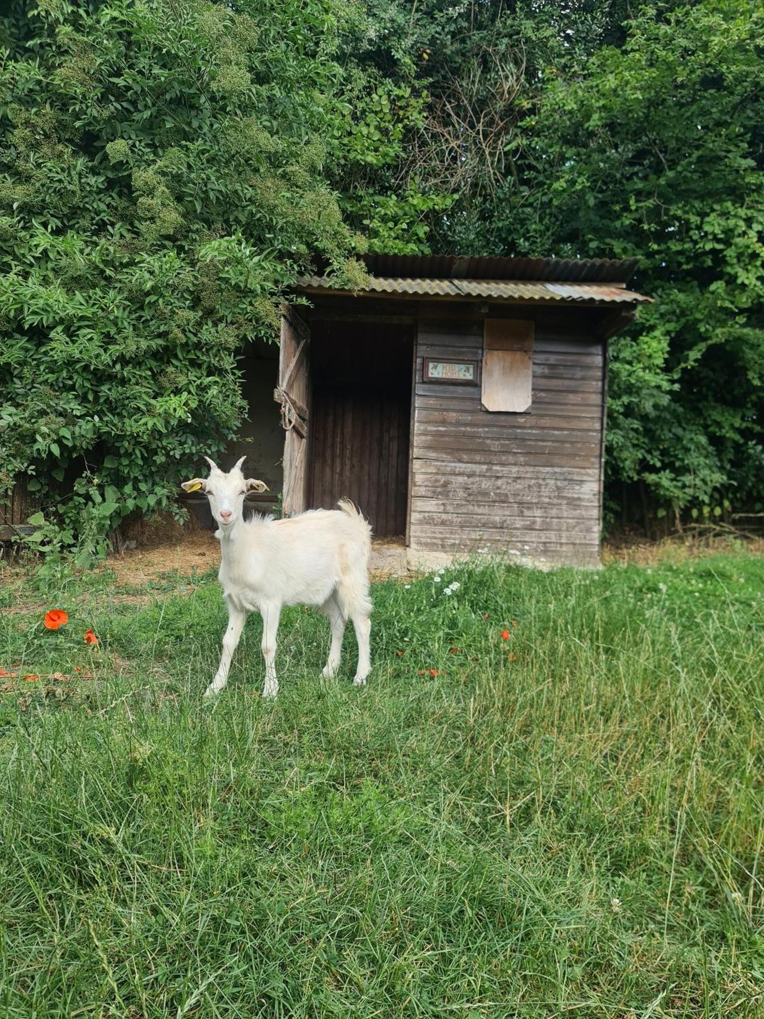Chambre A La Ferme, Les Vergers Du Muscardin Breel 外观 照片
