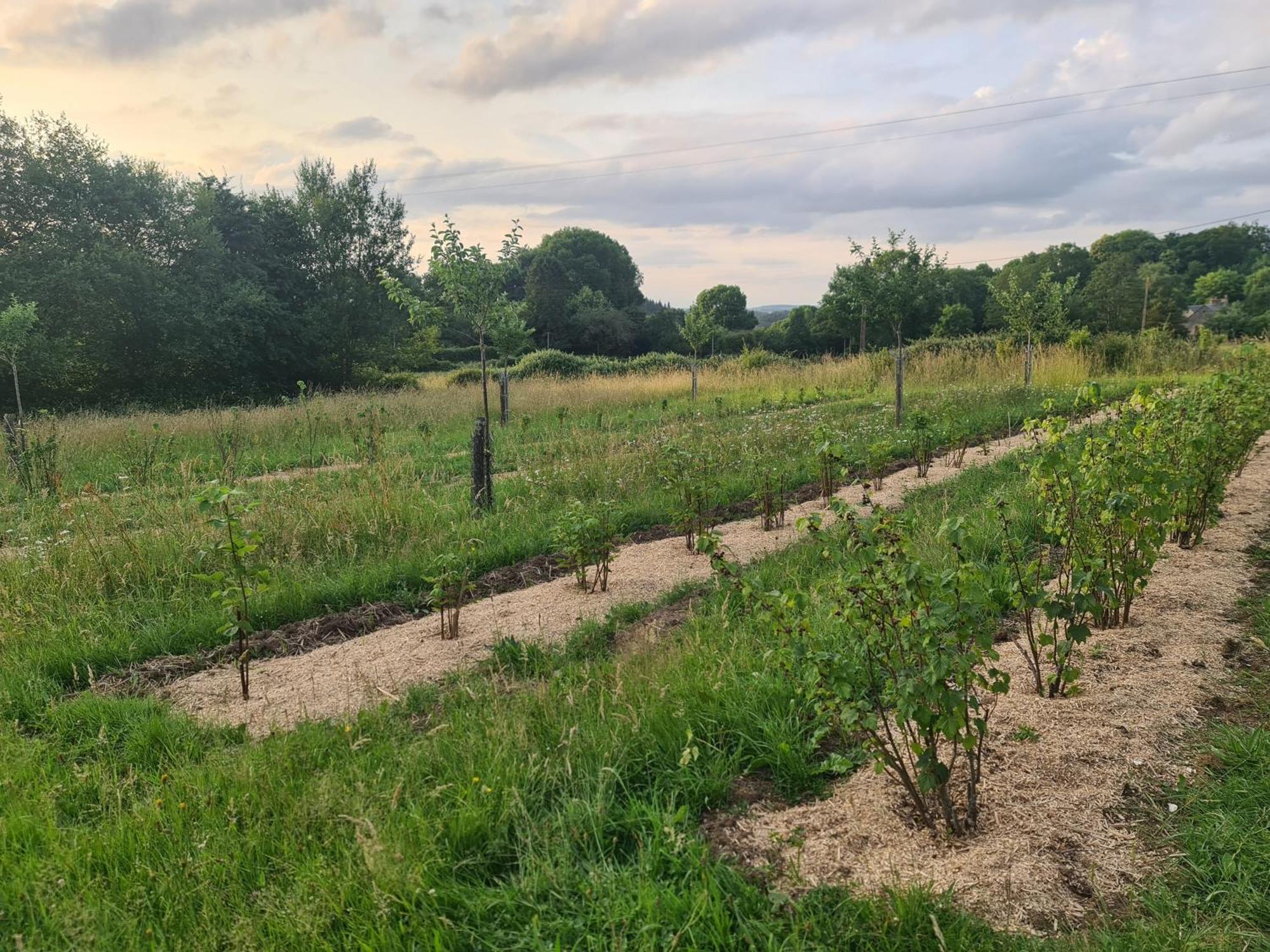 BreelChambre A La Ferme, Les Vergers Du Muscardin别墅 外观 照片